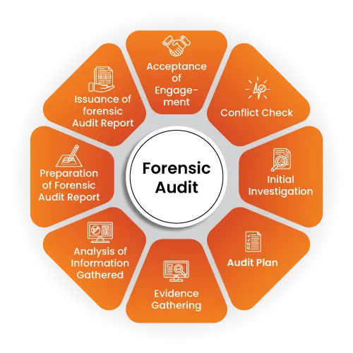illustrating N R Doshi’s forensic audit methodology, including data analysis, evidence collection, fraud identification, and compliance reporting for UAE businesses